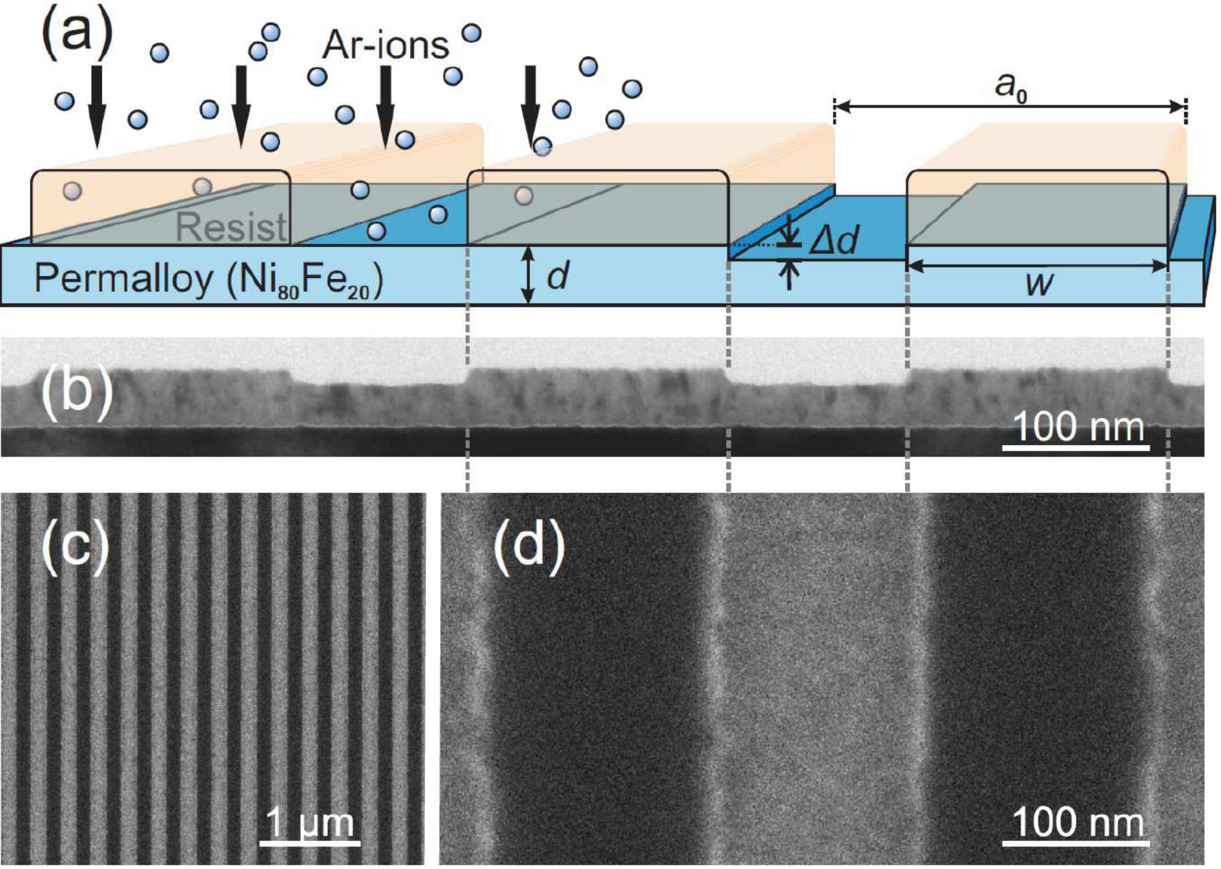 a, b, c and d part. b, c, and d show black and white images